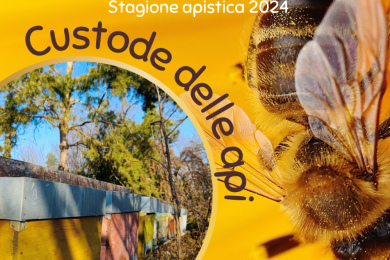 CUSTODE DELLE API