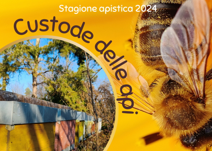 CUSTODE DELLE API